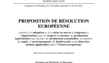 Résolution Européenne normes de production