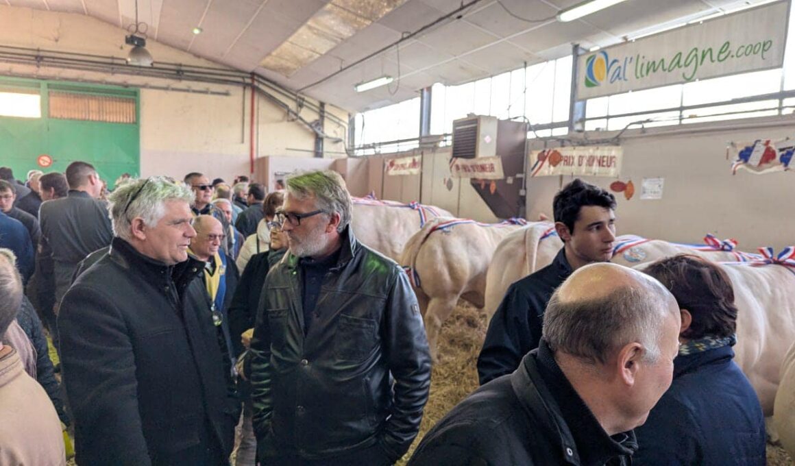 Concours agricole de Saint-Pourçain sur Sioule