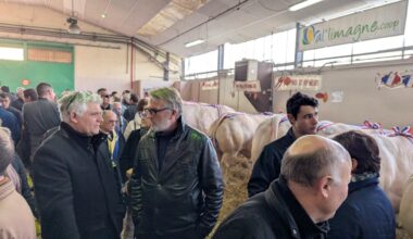 Concours agricole de Saint-Pourçain sur Sioule