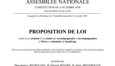 Création d'un statut pour les AESH